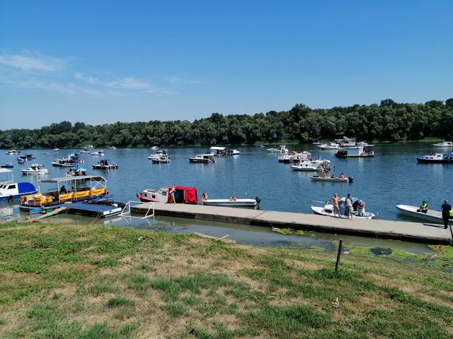 Regata 1
